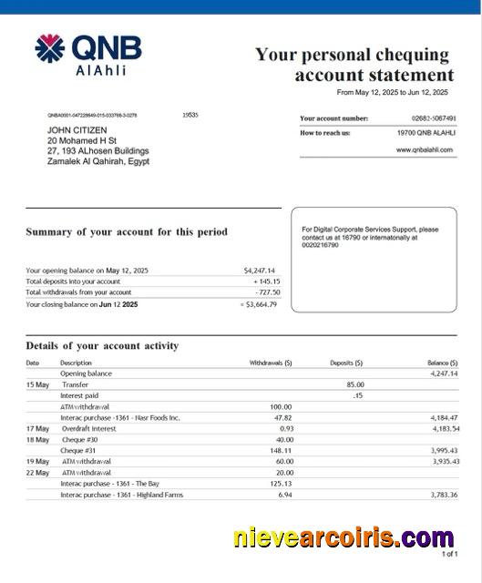 Qatar QNB Alahli Bank account statement Word and PDF